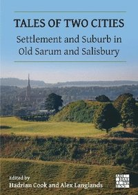 bokomslag Tales of Two Cities: Settlement and Suburb in Old Sarum and Salisbury