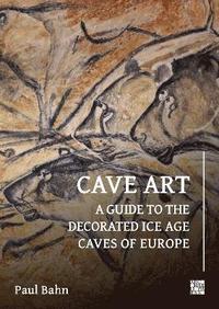 bokomslag Cave Art