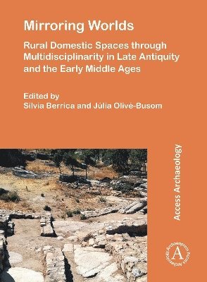 bokomslag Mirroring Worlds: Rural Domestic Spaces through Multidisciplinarity in Late Antiquity and the Early Middle Ages