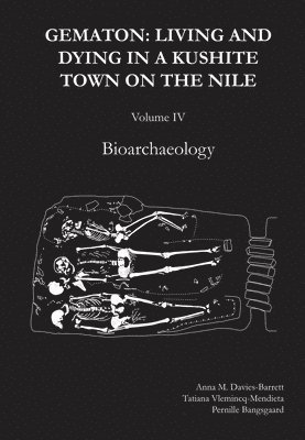 bokomslag Gematon: Living and Dying in a Kushite Town on the Nile, Volume IV