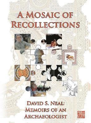 bokomslag Mosaic of Recollections