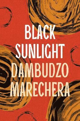 Dambudzo Marechera - Black Sunlight, Häftad