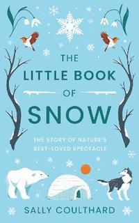 bokomslag Little Book of Snow