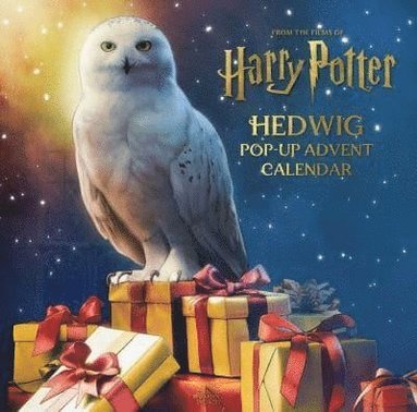 bokomslag Harry Potter: Hedwig Pop-up Advent Calendar