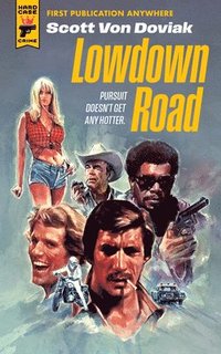 bokomslag Lowdown Road