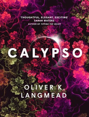 Calypso 1