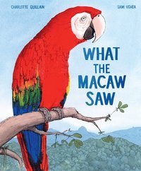 bokomslag What the Macaw Saw