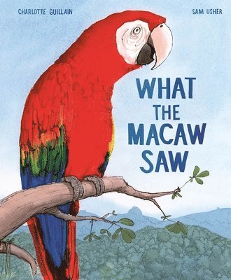 bokomslag What the Macaw Saw