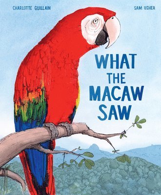 What the Macaw Saw 1
