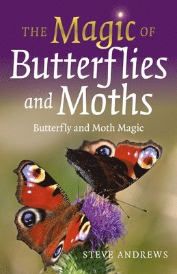 bokomslag Magic of Butterflies and Moths, The