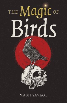 bokomslag Magic of Birds, The