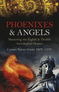bokomslag Phoenixes & Angels