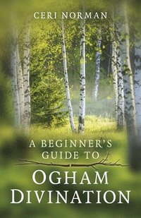 bokomslag Beginner's Guide to Ogham Divination, A