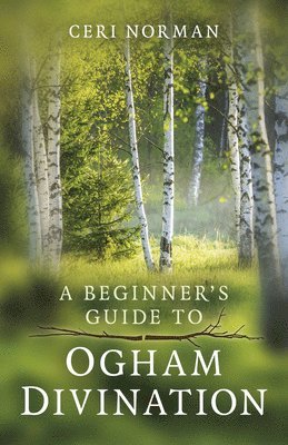 Beginner's Guide to Ogham Divination, A 1