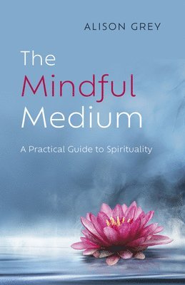 bokomslag Mindful Medium, The