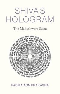 bokomslag Shiva's Hologram