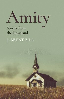 J. Brent Bill, J Brent Bill - Amity, Häftad