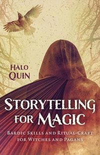 bokomslag Storytelling for Magic