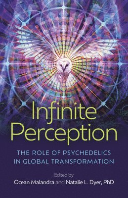 Infinite Perception 1
