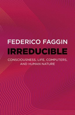 Federico Faggin - Irreducible, Häftad