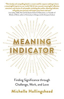 Michelle Hollingshead - Meaning Indicator, Häftad