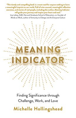 Meaning Indicator 1