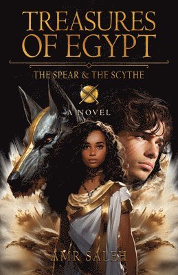 Amr Saleh - Treasures of Egypt, Häftad