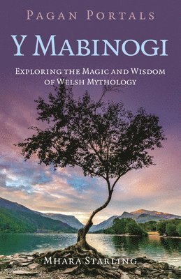 Mhara Starling, Mhara Starling - Pagan Portals  Y Mabinogi, Häftad