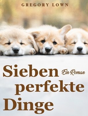 bokomslag Sieben perfekte Dinge