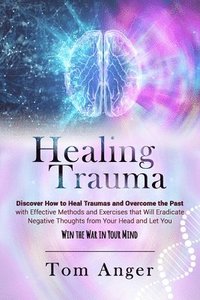bokomslag Healing Trauma