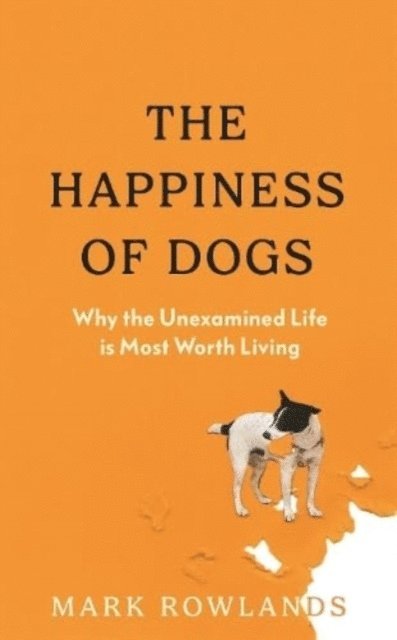 The Happiness of Dogs 1