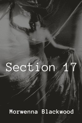 Section 17 1