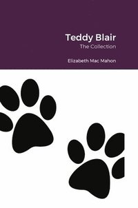 bokomslag Teddy Blair