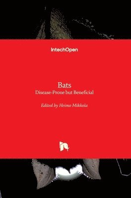 bokomslag Bats