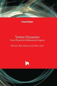 bokomslag Vortex Dynamics