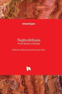 bokomslag Nephrolithiasis