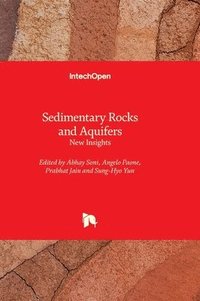 bokomslag Sedimentary Rocks and Aquifers