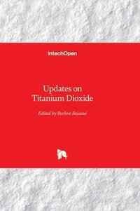 bokomslag Updates on Titanium Dioxide