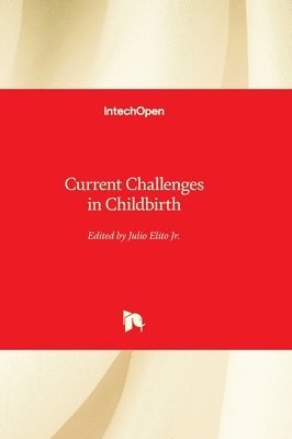 bokomslag Current Challenges in Childbirth