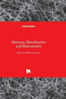 bokomslag Biomass, Biorefineries and Bioeconomy