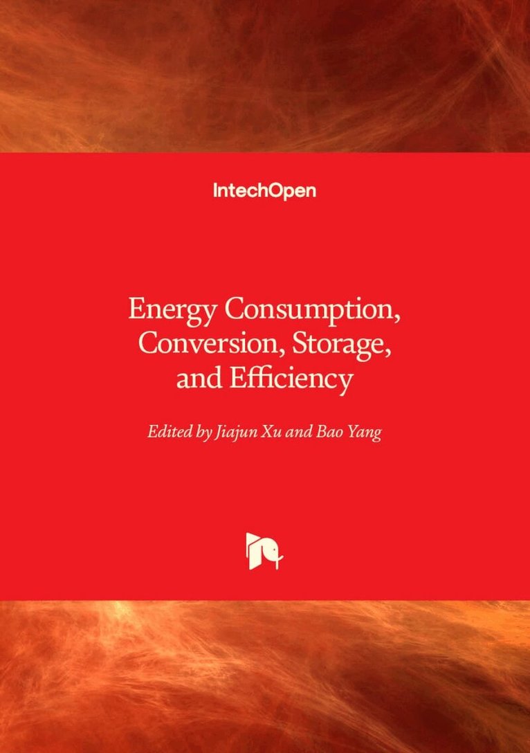 Bao Yang, Jiajun Xu - Energy Consumption, Conversion, Storage, and Efficiency, Inbunden