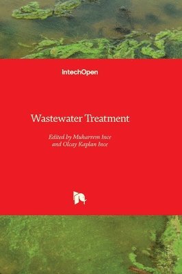 Olcay Kaplan Ince, Muharrem Ince - Wastewater Treatment, Inbunden