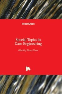 bokomslag Special Topics in Dam Engineering