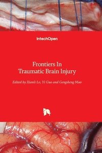bokomslag Frontiers In Traumatic Brain Injury