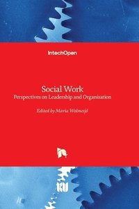 bokomslag Social Work