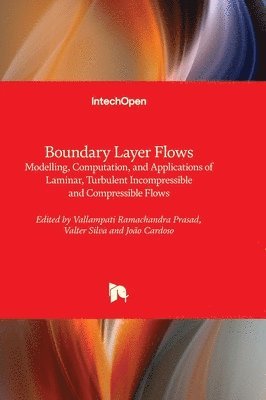 bokomslag Boundary Layer Flows