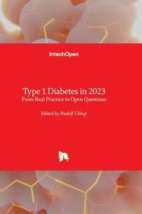 bokomslag Type 1 Diabetes in 2023