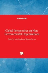 bokomslag Global Perspectives on Non-Governmental Organizations