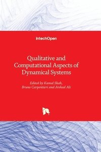 bokomslag Qualitative and Computational Aspects of Dynamical Systems