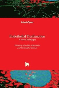 bokomslag Endothelial Dysfunction
